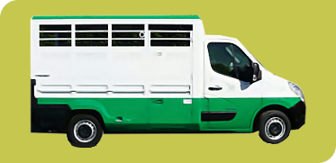 SOMAFER : Collecte des Animaux