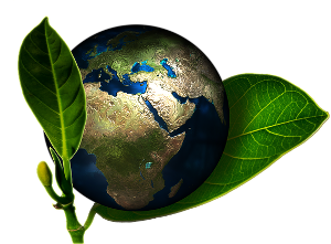 Environnement, bien-être, binetraitance, eau, énergie.