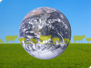 SOMAFER : Qualité - Sécurité - Environnement
